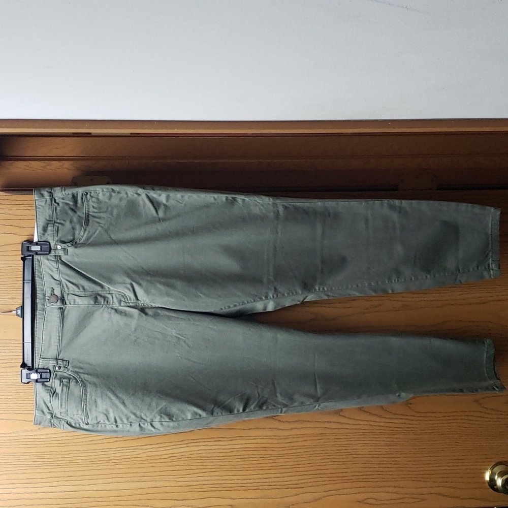 Lane Bryant pants